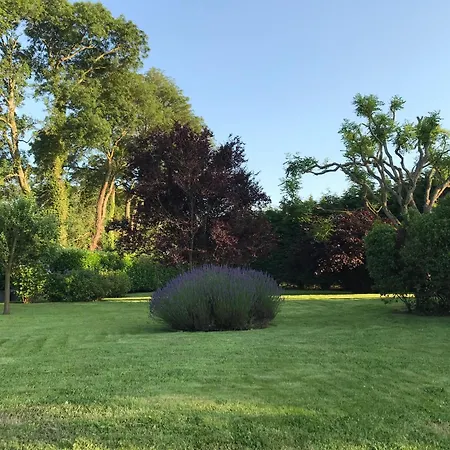 Longere Normande Avec Grand Jardin * Saint-Riquier-ès-Plains